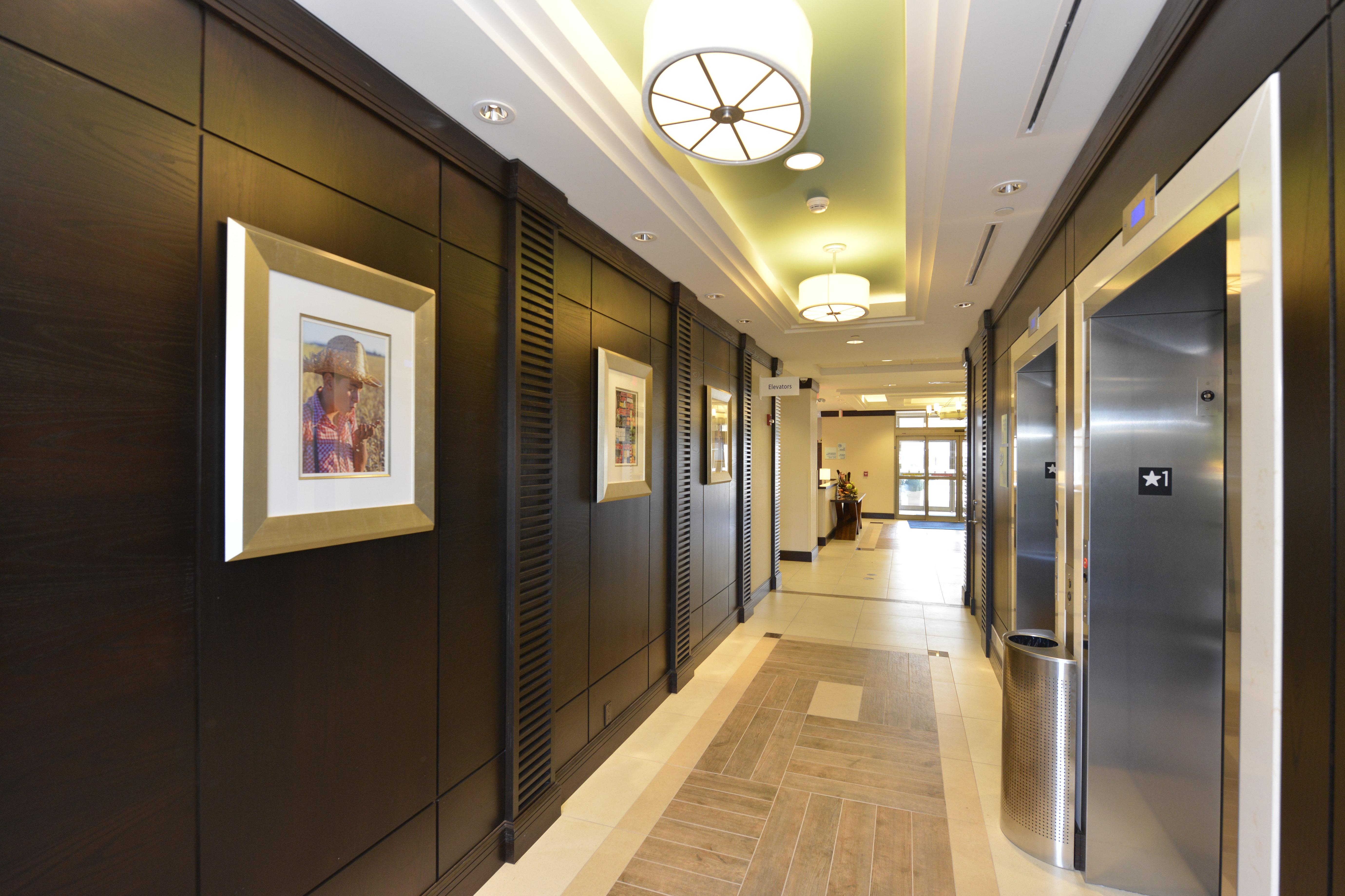 Holiday Inn Express Hotel & Suites Waterloo - St. Jacobs Area By Ihg Eksteriør billede